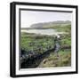 Canal Near the Promontory Fort at Ruadha a Dunain-CM Dixon-Framed Photographic Print