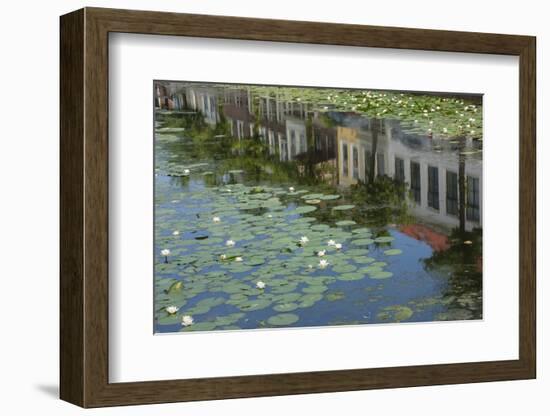 Canal Scene with Reflections and Floating Lilies, Delft, Holland, Europe-James Emmerson-Framed Photographic Print