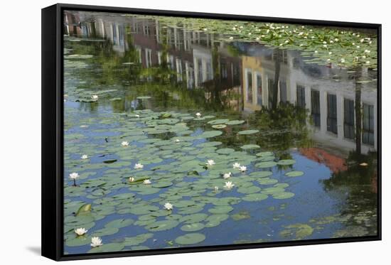 Canal Scene with Reflections and Floating Lilies, Delft, Holland, Europe-James Emmerson-Framed Stretched Canvas