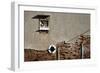 Canal Side Wall in Venice, Italy with Relief of George and the Dragon-Richard Bryant-Framed Photo