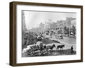 Canal Street, New Orleans, Louisiana, C.1890 (B/W Photo)-American Photographer-Framed Giclee Print