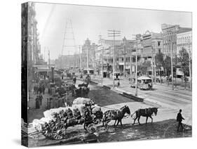 Canal Street, New Orleans, Louisiana, C.1890 (B/W Photo)-American Photographer-Stretched Canvas