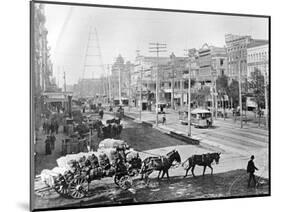 Canal Street, New Orleans, Louisiana, C.1890 (B/W Photo)-American Photographer-Mounted Giclee Print
