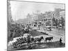 Canal Street, New Orleans, Louisiana, C.1890 (B/W Photo)-American Photographer-Mounted Giclee Print