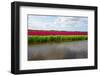 Canal-gkuna-Framed Photographic Print