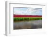 Canal-gkuna-Framed Photographic Print