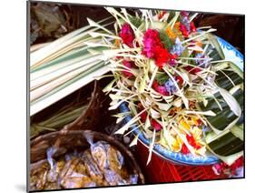 Canang Sari, Traditional Balinese Daily Offering, Ubud, Bali, Indonesia-Jay Sturdevant-Mounted Photographic Print