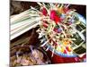 Canang Sari, Traditional Balinese Daily Offering, Ubud, Bali, Indonesia-Jay Sturdevant-Mounted Photographic Print