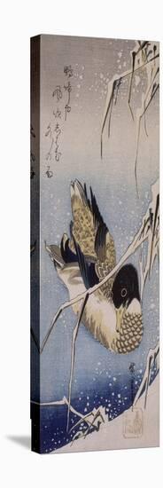 Canard et roseaux sous la neige-Ando Hiroshige-Stretched Canvas