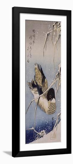 Canard et roseaux sous la neige-Ando Hiroshige-Framed Premium Giclee Print