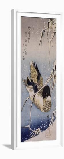 Canard et roseaux sous la neige-Ando Hiroshige-Framed Premium Giclee Print