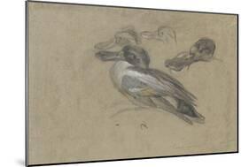 Canard et trois têtes de canard-Pieter Boel-Mounted Giclee Print