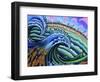 Canaria-Martin Nasim-Framed Giclee Print