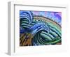 Canaria-Martin Nasim-Framed Giclee Print