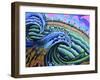 Canaria-Martin Nasim-Framed Giclee Print