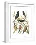 Canaries and Cage Birds I-Cassel-Framed Art Print