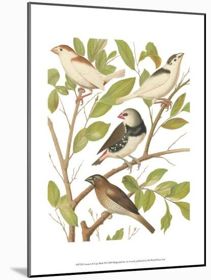 Canaries and Cage Birds II-Cassel-Mounted Art Print