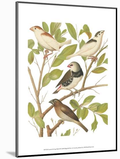 Canaries and Cage Birds II-Cassel-Mounted Art Print