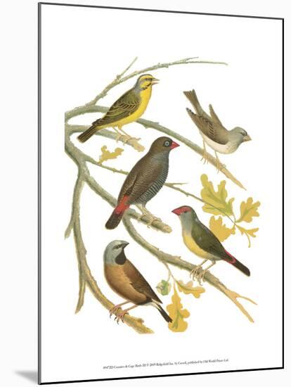 Canaries and Cage Birds III-Cassel-Mounted Art Print