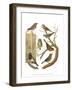 Canaries and Cage Birds IV-Cassel-Framed Art Print