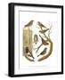 Canaries and Cage Birds IV-Cassel-Framed Art Print