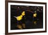 Canaries Standing by Water-W. Perry Conway-Framed Photographic Print
