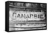 Canarsie-Evan Morris Cohen-Framed Stretched Canvas
