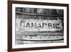 Canarsie-Evan Morris Cohen-Framed Photographic Print