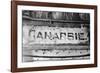 Canarsie-Evan Morris Cohen-Framed Photographic Print