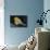 Canary Bird-null-Photographic Print displayed on a wall