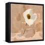 Canary Island Marguerite I-Jacob Green-Framed Stretched Canvas