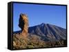 Canary Islands, Tenerife, Mount Teide Volcano, Spain-Steve Vidler-Framed Stretched Canvas