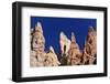 Canary Islands, Tenerife, National Park Pico Del Teide-Catharina Lux-Framed Photographic Print