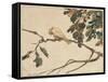 Canary on an Oak Tree Branch-Adolph Freidrich Erdmann Von Menzel-Framed Stretched Canvas