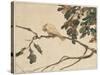 Canary on an Oak Tree Branch-Adolph Freidrich Erdmann Von Menzel-Stretched Canvas