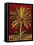 Canary Palm-Rodolfo Jimenez-Framed Stretched Canvas