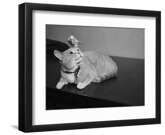 Photographic Print, , large