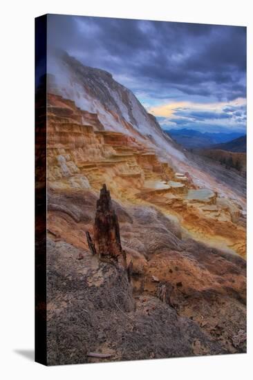 Canary Springs Drama, Yellowstone National Park, Wyoming-Vincent James-Stretched Canvas