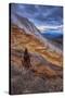 Canary Springs Drama, Yellowstone National Park, Wyoming-Vincent James-Stretched Canvas