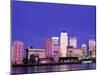 Canary Wharf and Docklands Skyline, Docklands, London, England-Steve Vidler-Mounted Photographic Print