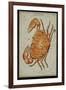 Cancer Constellation, Zodiac Sign, 1825-Science Source-Framed Giclee Print