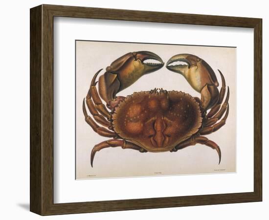 Cancer EdwardsII-I.o. Westwood-Framed Photographic Print