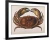 Cancer EdwardsII-I.o. Westwood-Framed Photographic Print