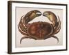 Cancer EdwardsII-I.o. Westwood-Framed Photographic Print