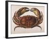 Cancer EdwardsII-I.o. Westwood-Framed Photographic Print