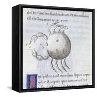 Cancer, Miniature from De Astronomia, by Hyginus, Ms, Aldini 490, F 88 V. Italy, 15th Century-null-Framed Stretched Canvas