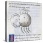 Cancer, Miniature from De Astronomia, by Hyginus, Ms, Aldini 490, F 88 V. Italy, 15th Century-null-Stretched Canvas