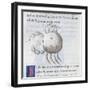 Cancer, Miniature from De Astronomia, by Hyginus, Ms, Aldini 490, F 88 V. Italy, 15th Century-null-Framed Giclee Print