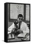 Cancer Specialist Dr. Ernest L. Wynder at Microscope in His Office, 1957-Alfred Eisenstaedt-Framed Stretched Canvas