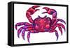 Cancer the Crab, 1996-Jane Tattersfield-Framed Stretched Canvas